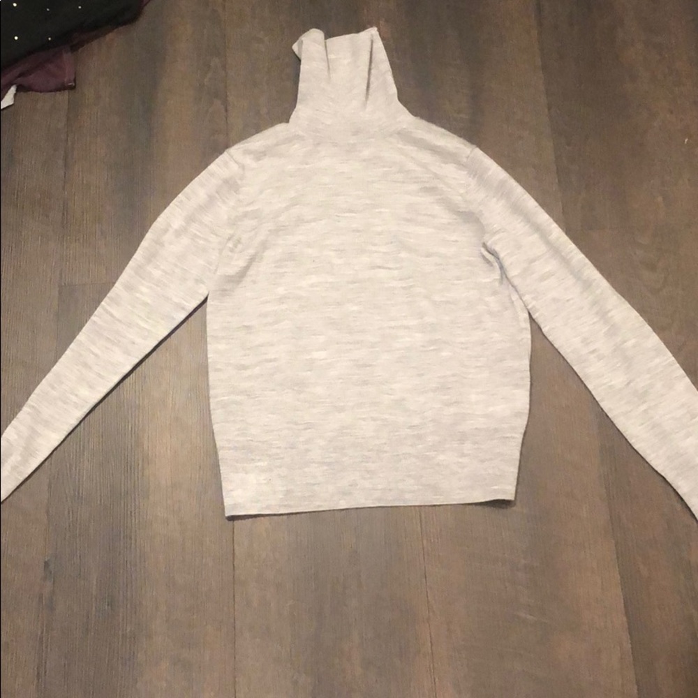 Gap Greg Turtleneck Sweater